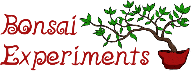 Experiments Adansonia Digitata - Experiments Adansonia Digitata (689x272)