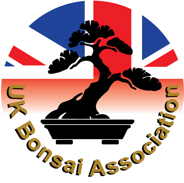 Uk Bonsai Association - Skateboarding (600x599)