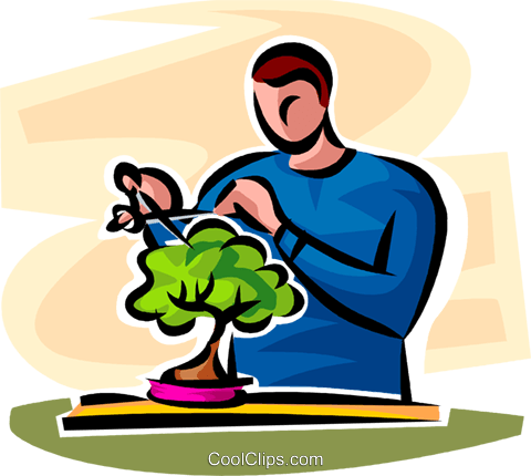 Man Looking After A Bonsai Plant Royalty Free Vector - Illustration (480x430)