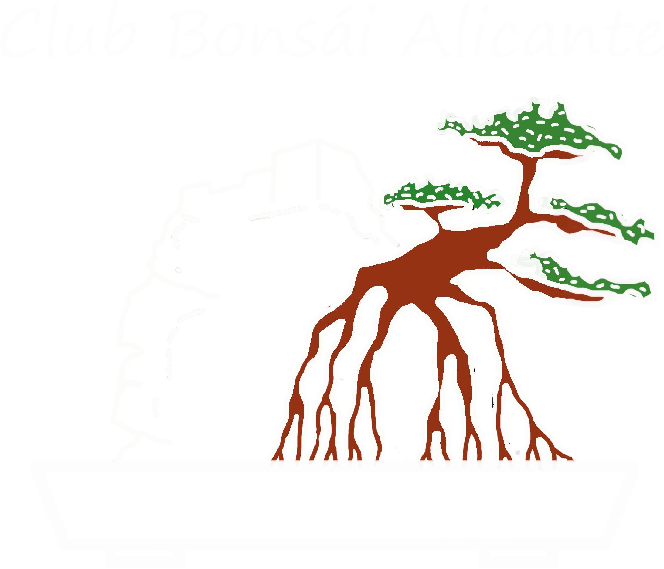 Club Bonsai Alicante Competitors, Revenue And Employees - Illustration (2268x1946)