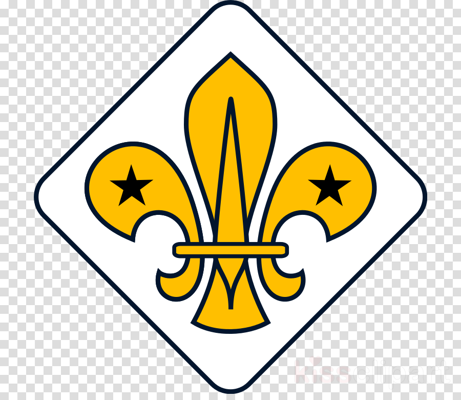 Fleur De Lis Boy Scouts Png Clipart Scouting Cub Scout - Flower Drawing Png Cartoon (900x780)