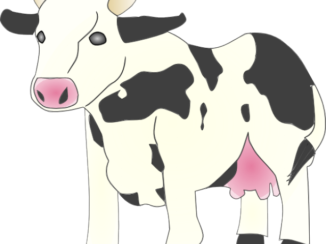 Cow Clipart Sapi - Cow Clip Art (640x480)