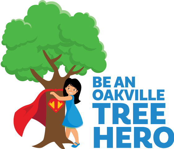 'be A Tree Hero' School Program Launches - 'be A Tree Hero' School Program Launches (561x479)