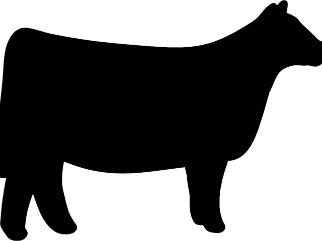 Cattle Clipart Heifer Cow - Show Heifer Silhouette (640x480)