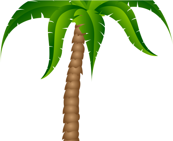 Sunset Clipart Palm Tree - Cartoon Palm Tree Transparent Background (640x480)