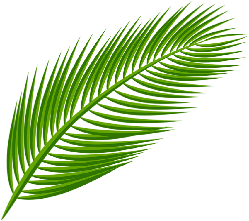 Free Png Download Palm Leaf Transparent Clipart Png - Palm Tree Leaf Png (850x757)