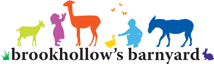 Brookhollows Barnyard Logo - Illustration (761x250)