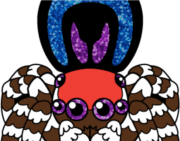 Spider Clipart Jumping Spider - Spider Clipart Jumping Spider (640x480)