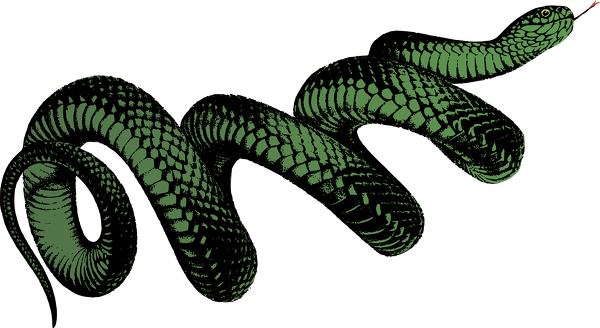 Black And White Snake Png (600x328)