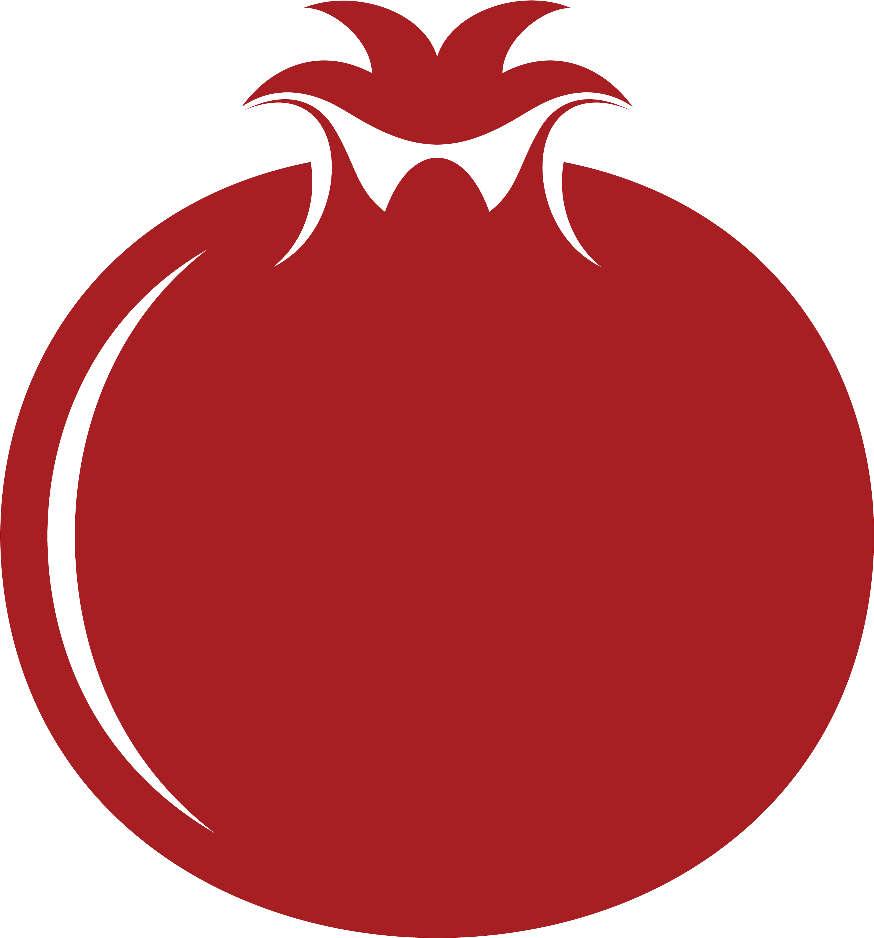 Pomegranate Vector Png (3999x4048)