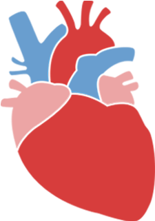 Heart Age Calculator - Heart Age Calculator (380x320)