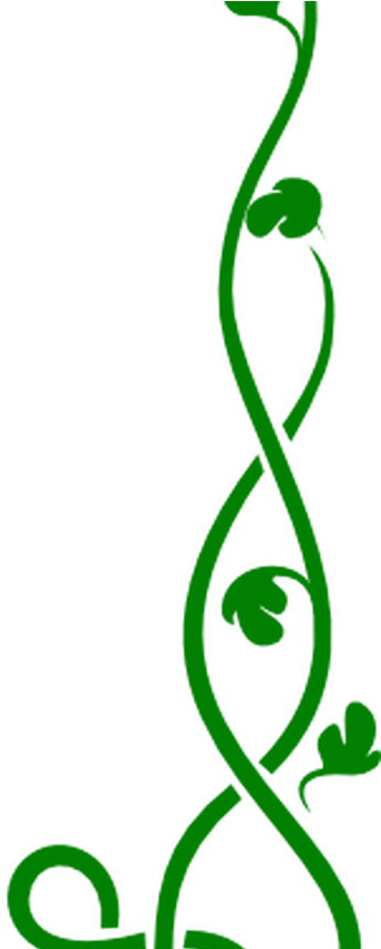 Solid Green Vine Clip Art Clipart Panda Free Clipart - Clip Art (1368x855)