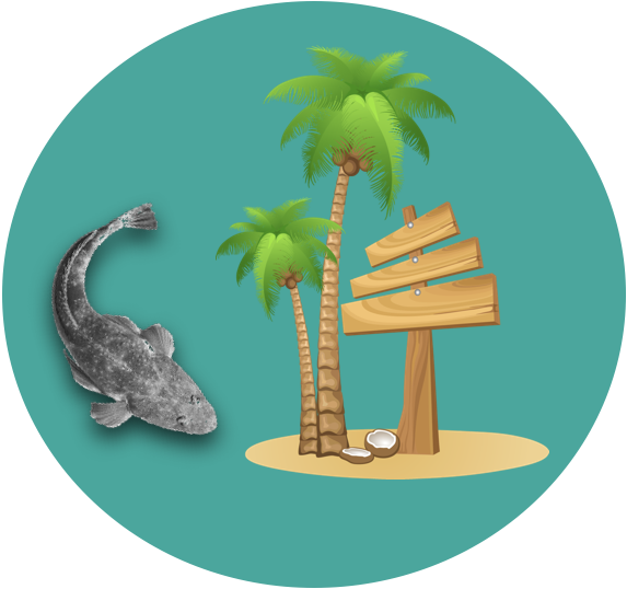 There's A Whole Lot Of Good Stuff Like Crabs, Beach - Illustration (573x538)