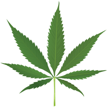 Weed Leaf Transparent Background (400x400)