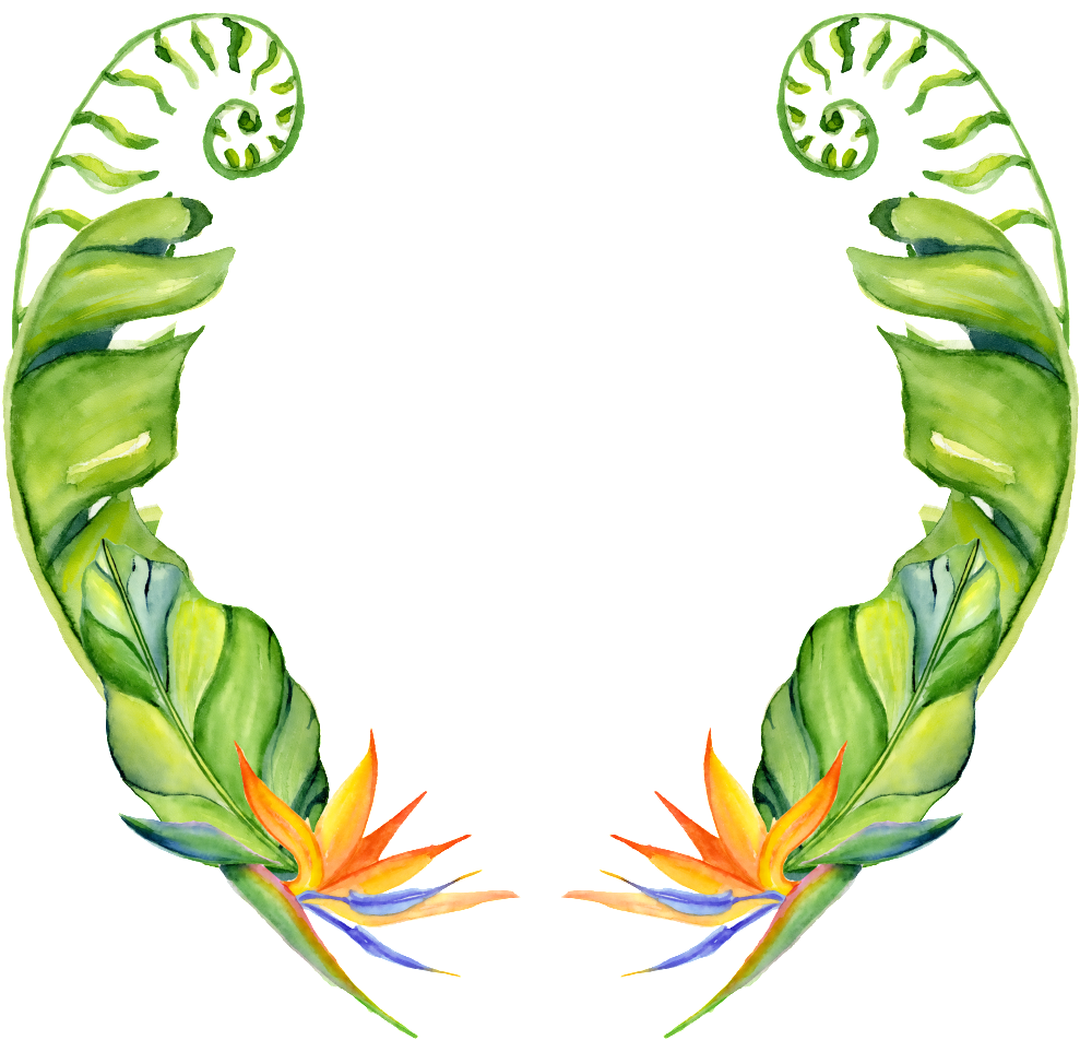 This Graphics Is Hand Painted Two Banana Leaves Png - Cách Vẽ Lá Chuối (989x952)