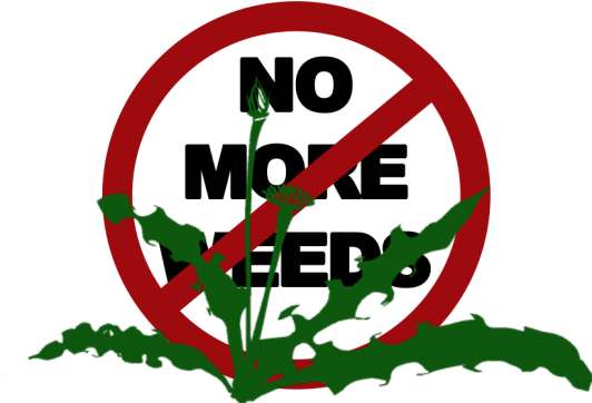 Call Us Today - Clip Art (550x388)