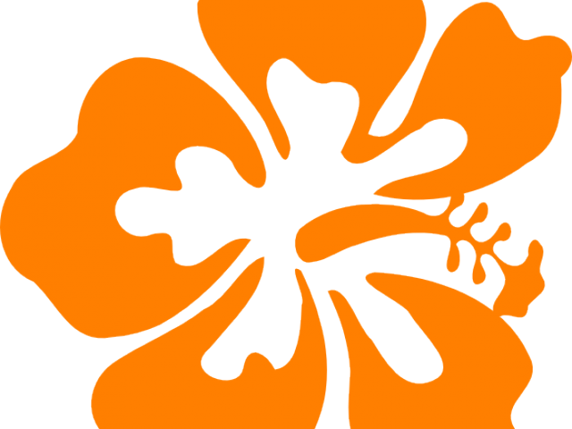 Tropical Border Cliparts - Black And White Hibiscus Flower Clip Art (640x480)