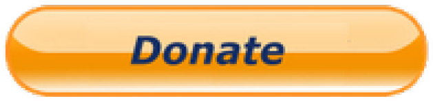 Paypal Donate Button Clipart - Paypal Donate Button (640x480)