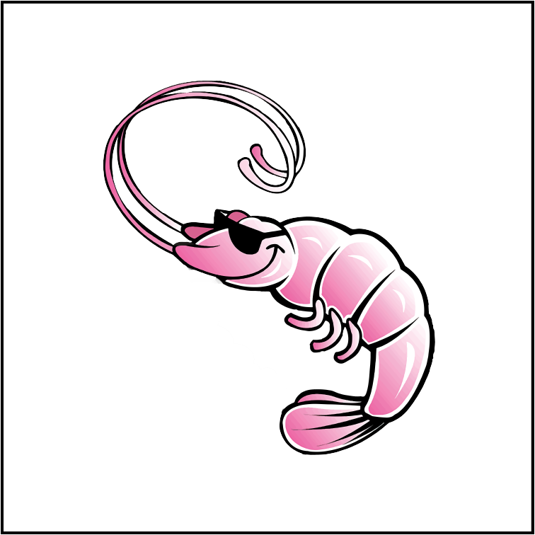 Rolling Stones Tribute Band - Rolling Stones Tribute Band (756x756)