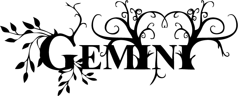 Gemini Png Transparent Images - Gemini Transparent (777x315)