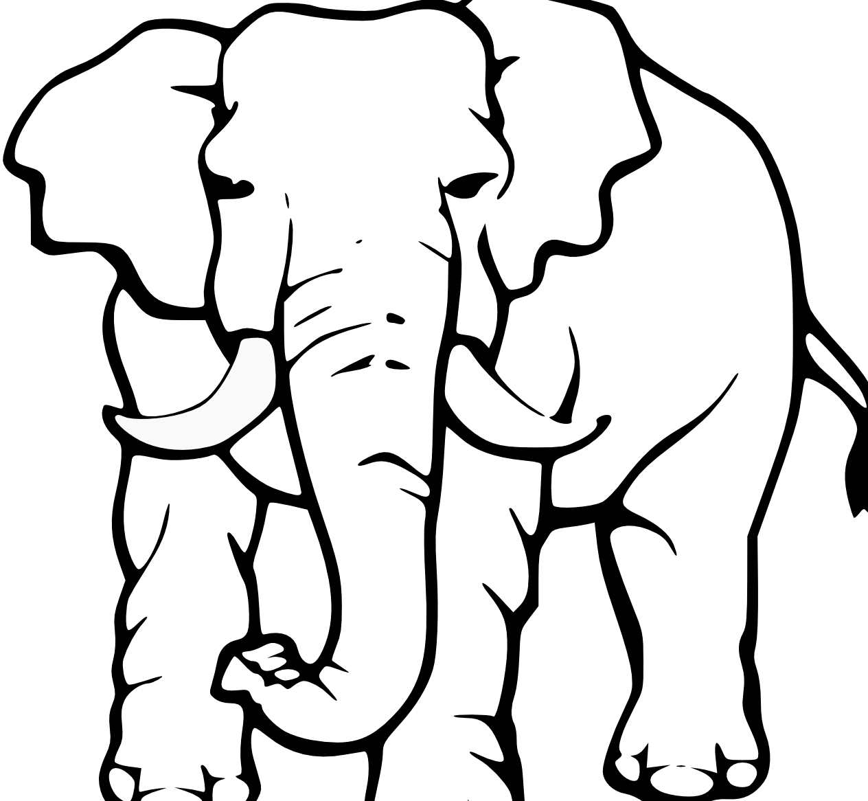 Elephant - Animals Drawing Black And White Png (1264x1166)