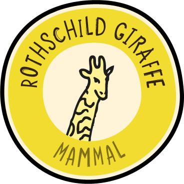 More We Think You'll Love - Chester Zoo Animals Clip Art (368x368)