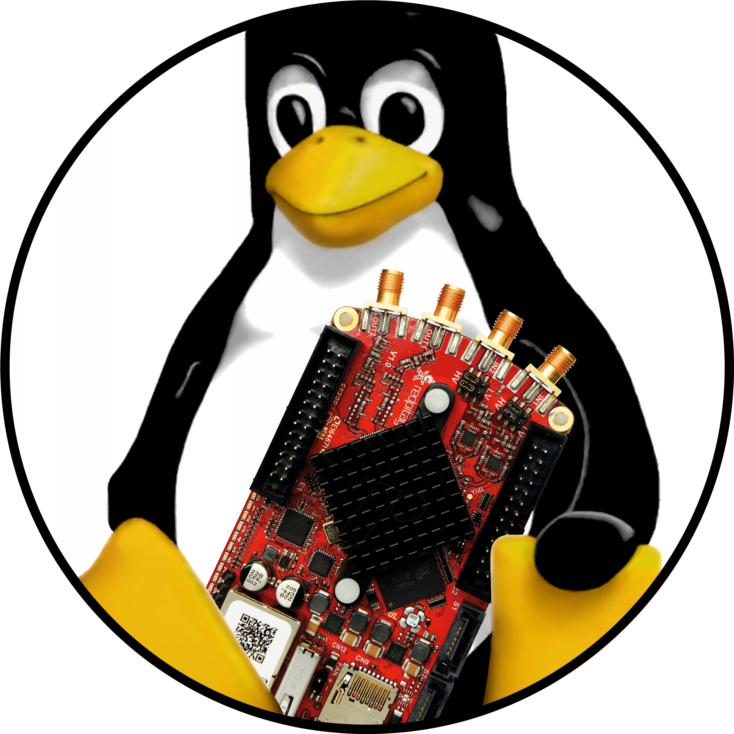 I'm Noah, An Electrical Engineer From Zurich, Switzerland - Linux Penguin (2400x2796)