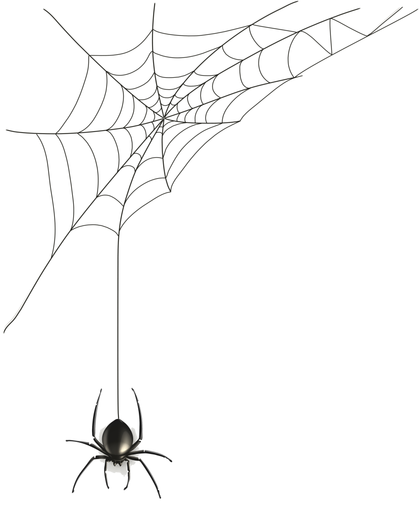 848 X 1024 11 - Spider Home Png (848x1024)