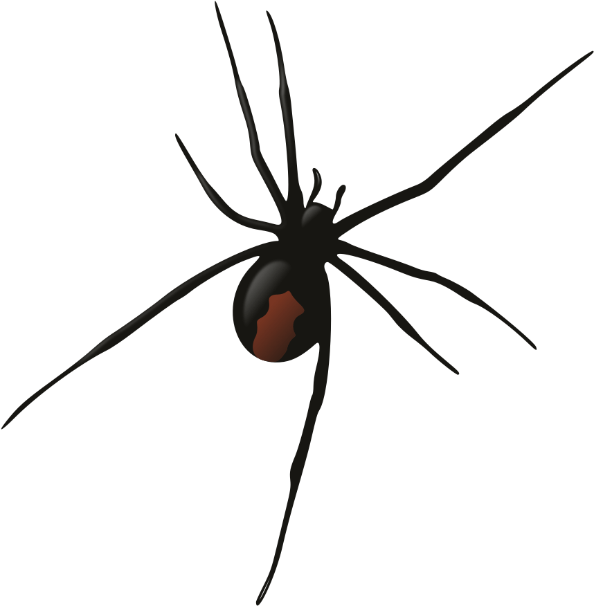 Banner Transparent Download Female Rooweb - Redback Spider Silhouette Png (964x1000)