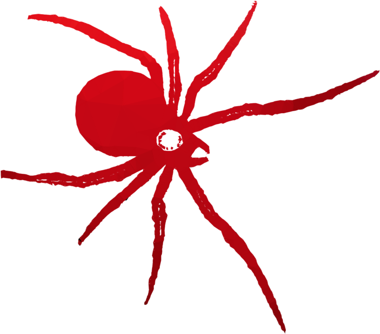 Spider Clipart Spider Western Black Widow - Araneus Cavaticus (900x900)