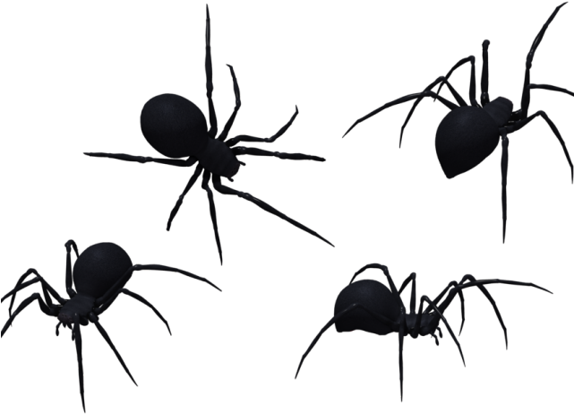 Black Widow Clipart Silhouette - Black Spiders Png (640x480)