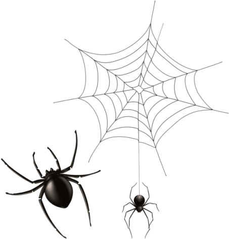Free Png Download Spider And Cobweb Png Images Background - Spider Web (480x486)
