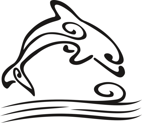 Delfin,jump,the - Delfin Tattoo Png (500x432)