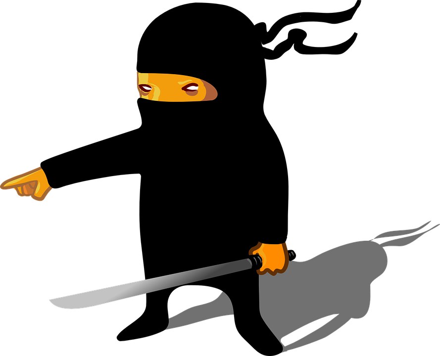 Ninja Png Transparent Images - Ninja Clip Art (889x720)