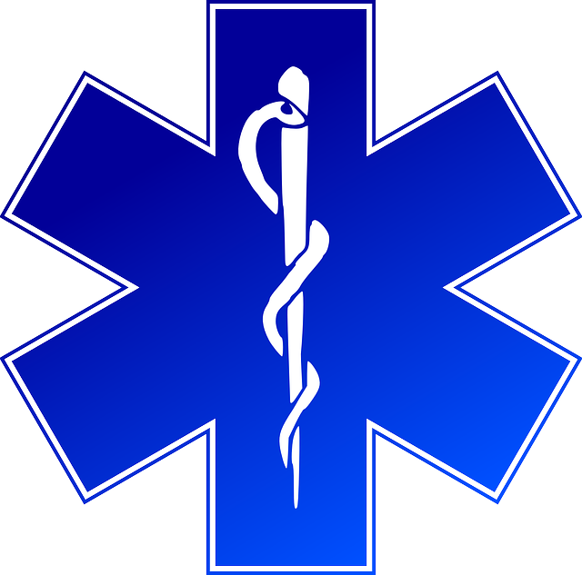 El S U00edmbolo De La Medicina Veterinarian Cartoons - Emergency Medical Services Png (640x633)