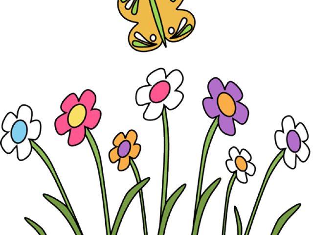 Make A Seed Envelope (640x480)