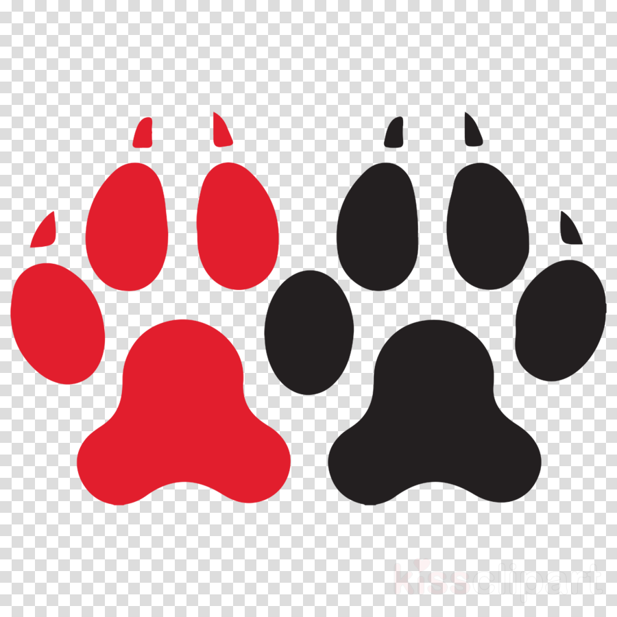Northeastern University Huskies Clipart Northeastern - Northeastern Huskies (900x900)