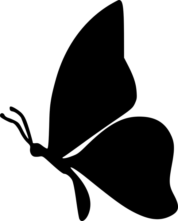 Silhueta De Borboleta Png (580x720)