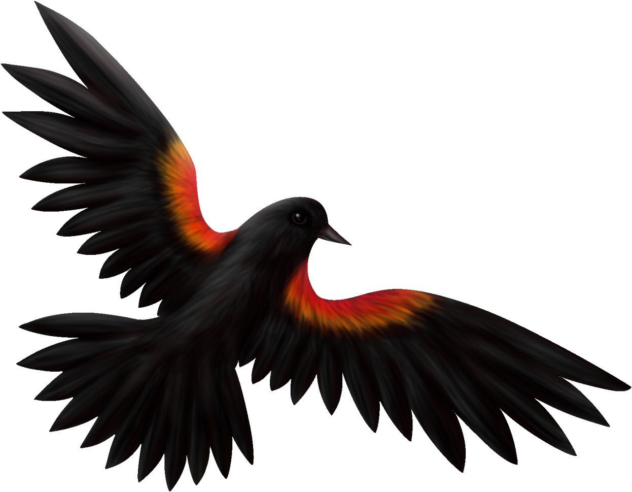 Clip Art Transparent The Lone Artist - Red Winged Blackbird Drawing (1280x1009)