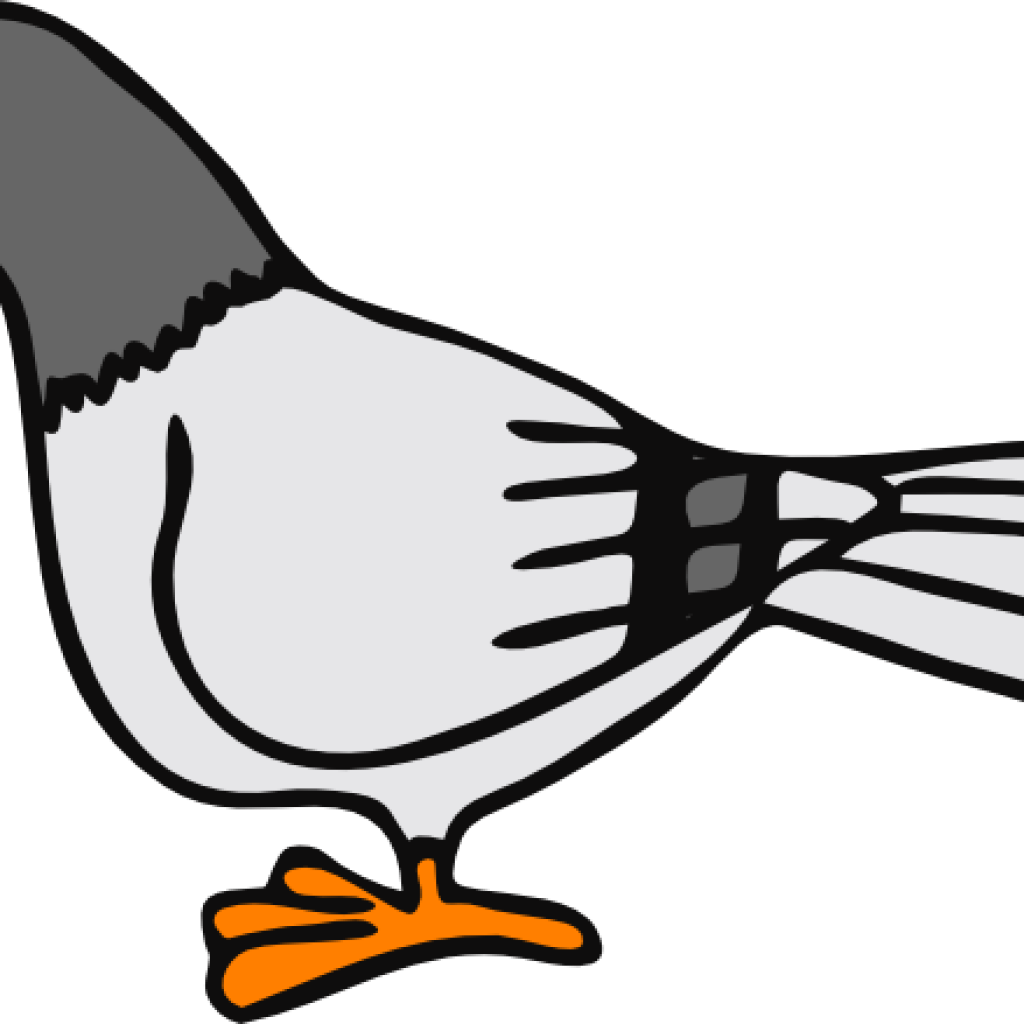 Pigeon Clip Art Pigeon Clip Art At Clker Vector Clip - Pigeon Clip Art (1024x1024)