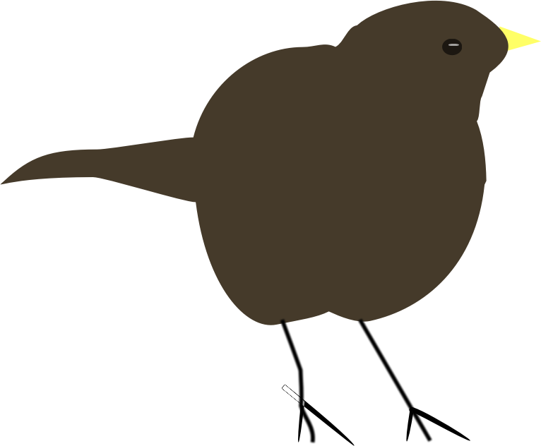 Medium Image - Old World Flycatcher (766x632)