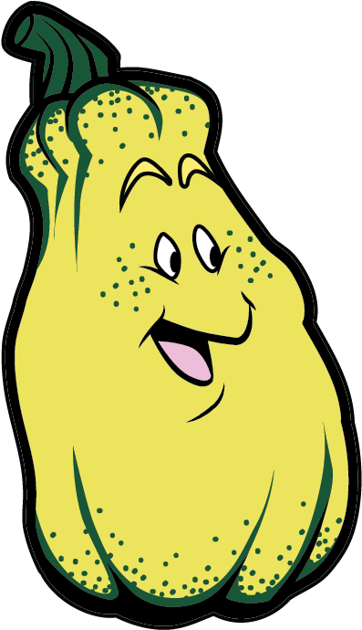 Delicata Squash - Delicata Squash (558x792)