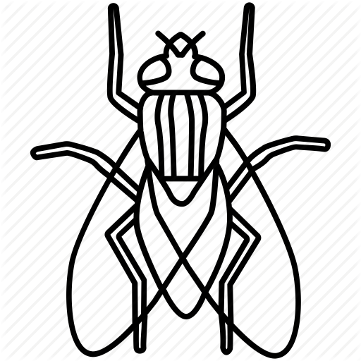 Crane Flies Horse House - Insects Out Lines (512x512)