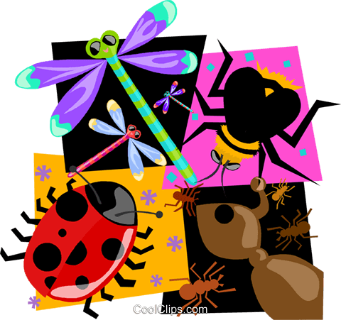 Insect Lady Bug, Ant, Bee, Dragon Fly Royalty Free - Insect Lady Bug, Ant, Bee, Dragon Fly Royalty Free (480x451)