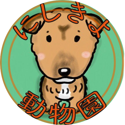 銀河犬 - American Pit Bull Terrier (400x400)