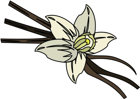 Flower And Pods Icon Image Icons By - Lily Family (550x550)