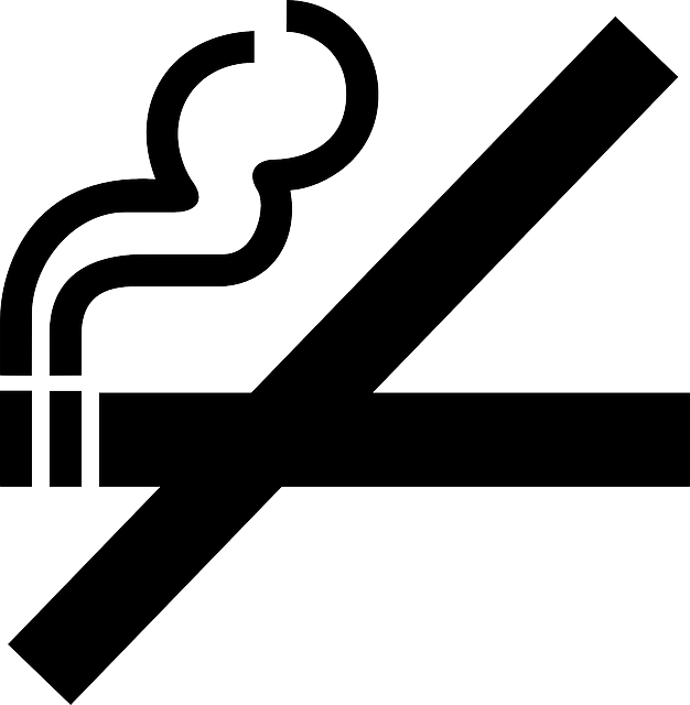 Health And Safety No Smoking (626x640)