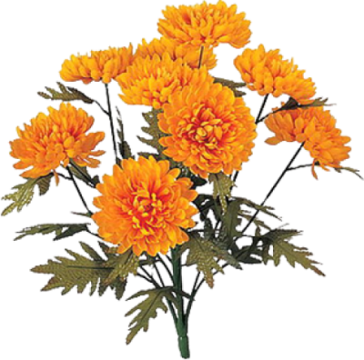 Marigold Icon Clipart Png Images - Marigold Plant Png (400x396)