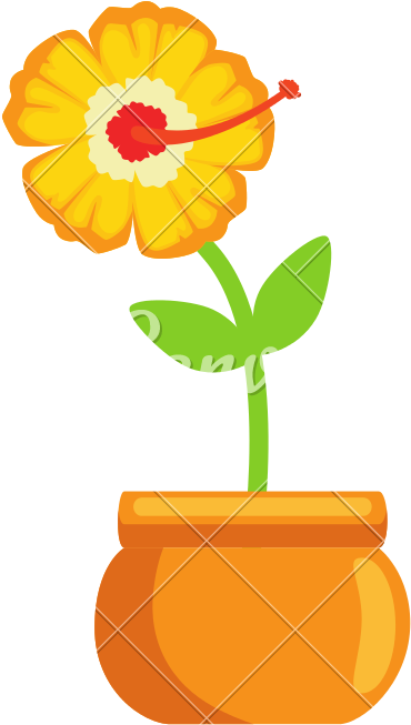 Exotic Flower In Pot - English Marigold (800x800)