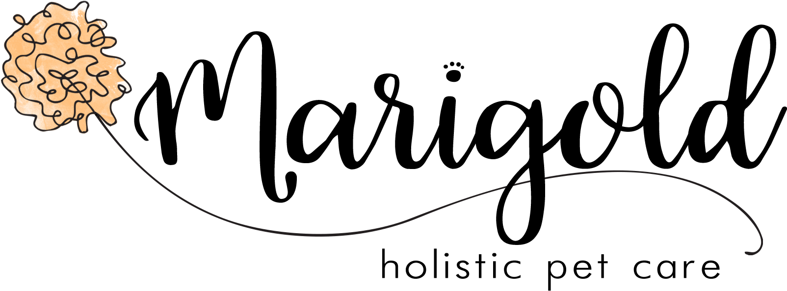 Marigold Holistic Pet Care For Transparent Background - Calligraphy (1644x648)
